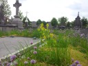 Ronse begraafplaats